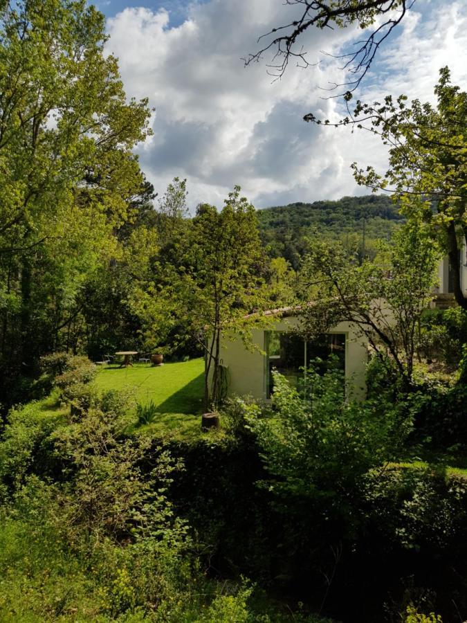 Beautiful Studio Surrounded By Nature Lanet 外观 照片