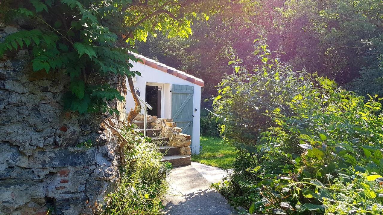 Beautiful Studio Surrounded By Nature Lanet 外观 照片