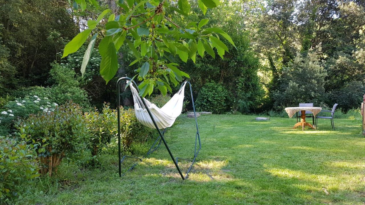 Beautiful Studio Surrounded By Nature Lanet 外观 照片