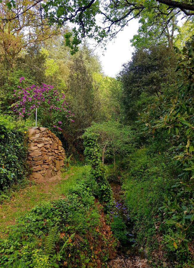Beautiful Studio Surrounded By Nature Lanet 外观 照片