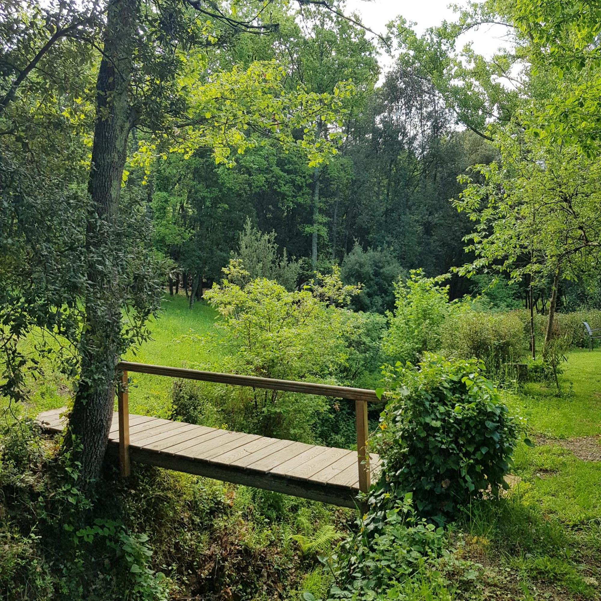 Beautiful Studio Surrounded By Nature Lanet 外观 照片